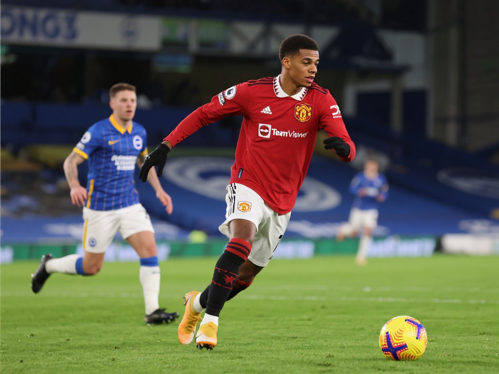 迎来职业生 迎来职业生